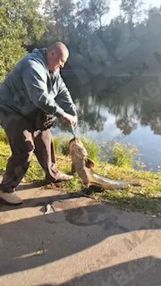 В Кузьминках поймали гигантскую сому весом 11 кг