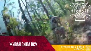 Охота на пехоту ВСУ в Сумской области
