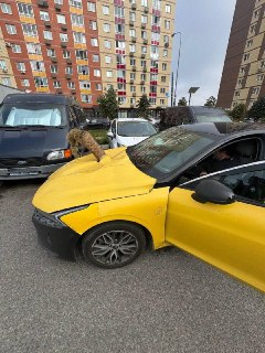 В столичном регионе после отражения атаки БПЛА обнаружен застрявший двигатель от ЗРПК «Панцирь-С1»
