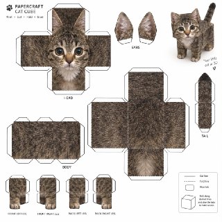Иллюстрация 6