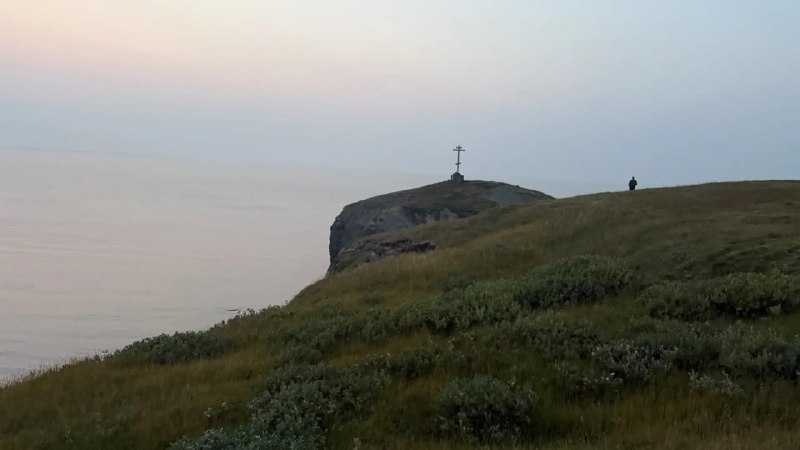 Иллюстрация 1