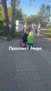 В Красноярске самокатчик сбил собаку насмерть и скрылся