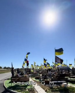 Иллюстрация 1