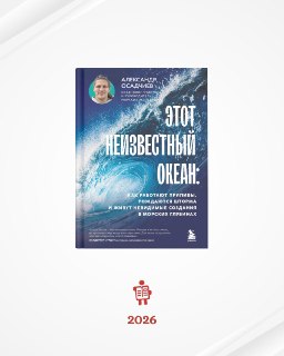 Иллюстрация 4