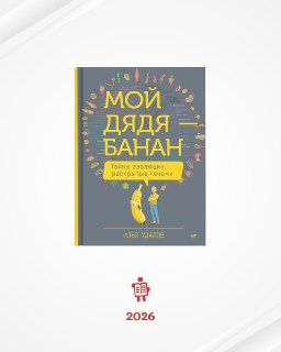 Иллюстрация 5
