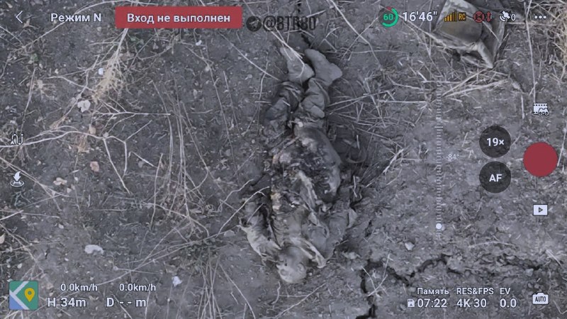 Иллюстрация 4
