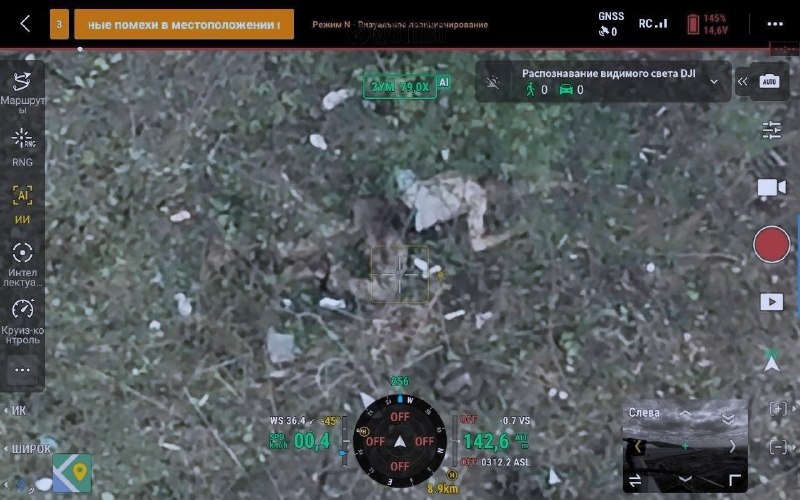 Иллюстрация 5