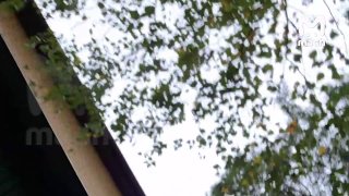 В Москве спасли мать с ребёнком из рабства в приюте