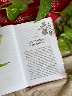 Иллюстрация 1