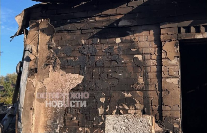 Иллюстрация 5