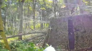 Попытки ВСУ вырваться из окружения в Харьковской области привели к существенным потерям