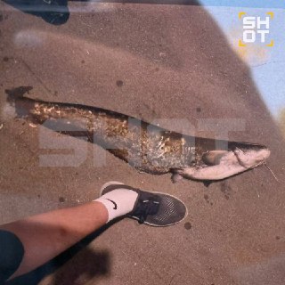 Иллюстрация 3