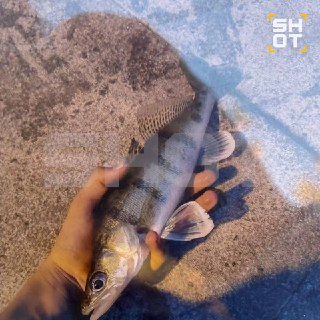 Иллюстрация 1