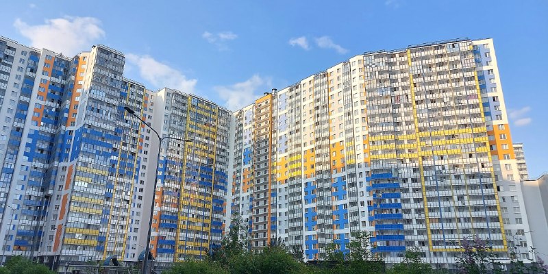 Иллюстрация 3