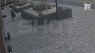 В Екатеринбурге женщина выбросила котёнка в мусорный пакет, но его спасли соседи