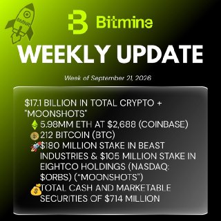 Bitmine накопила 5,98 млн ETH