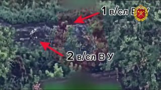 На Запорожском фронте артиллерия уничтожила троих военнослужащих противника по данным БпЛА