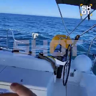 Косатка едва не перевернула яхту с российской семьей во время путешествия по Европе