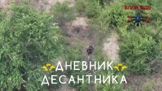 Успешная работа десантников на Запорожском направлении