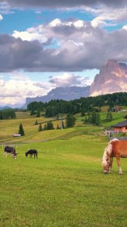 Альпе-ди-Сьюзи — самая красивая горная долина в Доломитах