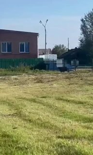 В Иркутской области из-за активности медведей отменили дни здоровья на природе