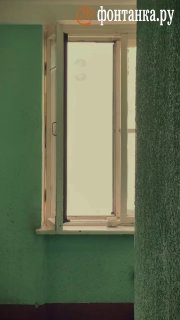 Инструкция по выживанию в Петербурге. Выпуск 4
