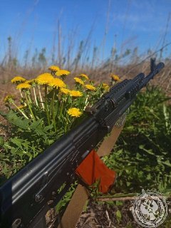 Иллюстрация 1