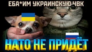 Удары 20-й армии на Изюмском направлении: потери ВСУ и уничтоженная техника