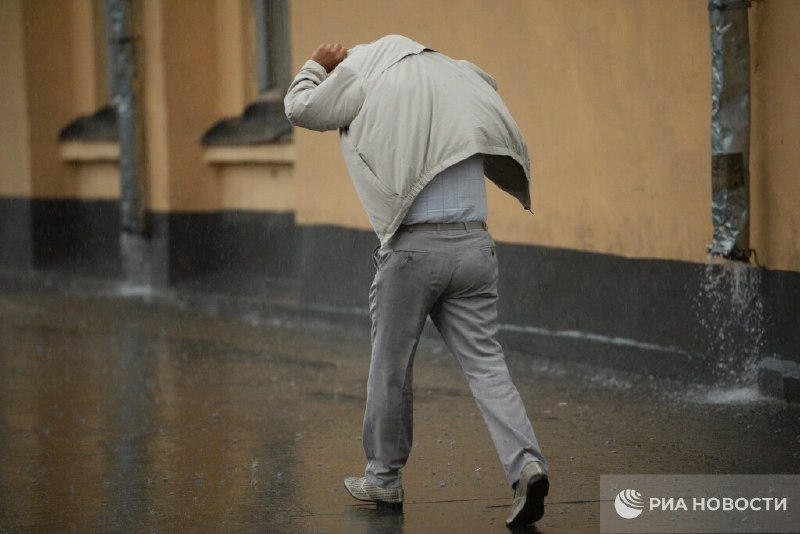 В Москве ожидаются дождь, гроза и сильный ветер