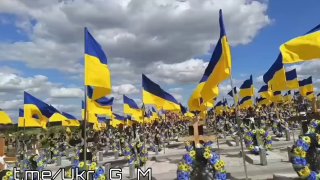 В сообщении заявляется о росте потерь ВСУ и критикуется украинское правительство