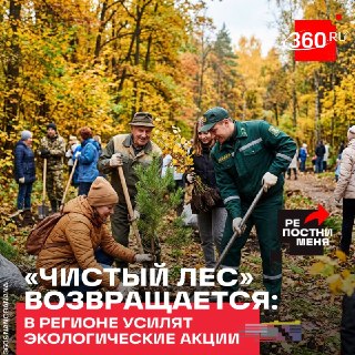 В Подмосковье обновят данные о восстановлении лесов