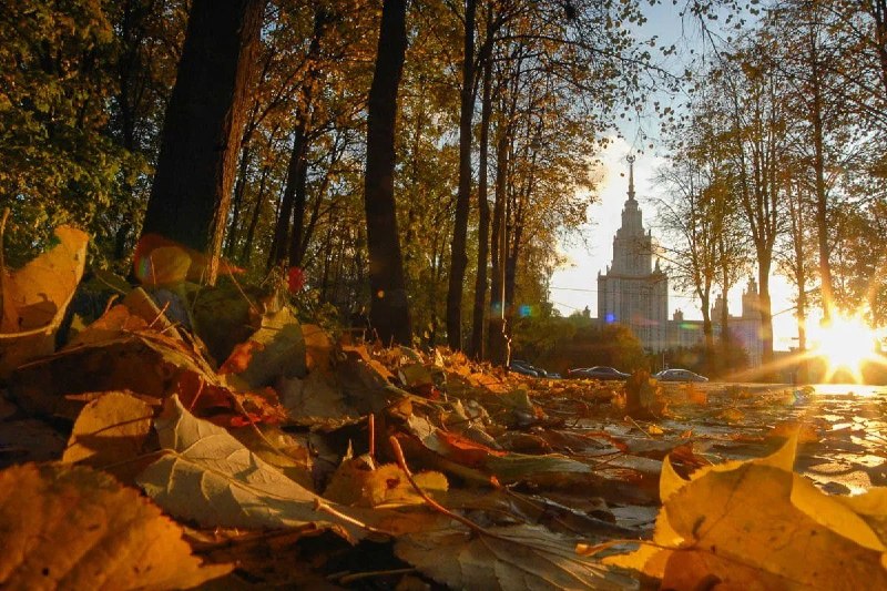 «Старое» бабье лето придёт в Москву к концу недели