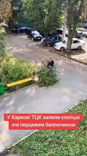 Иллюстрация 4