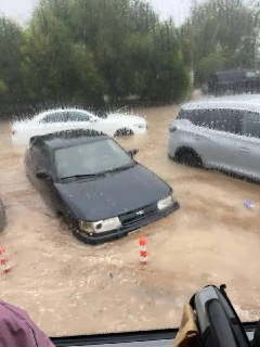 В Севастополе сильные дожди привели к падению деревьев и затоплению улиц