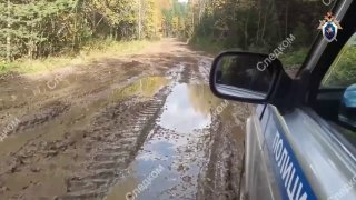 В Красноярском крае возбудили дело о халатности из-за нападений медведей, повлекших гибель шести человек
