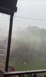 МЧС предупреждает москвичей о сильном ветре