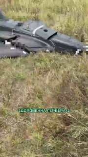 Видеообзор нового дрона «Гербера-2»