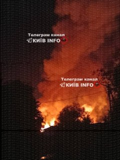 Иллюстрация 7