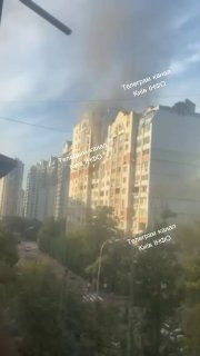 Иллюстрация 2