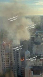 Иллюстрация 8