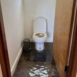 Иллюстрация 1