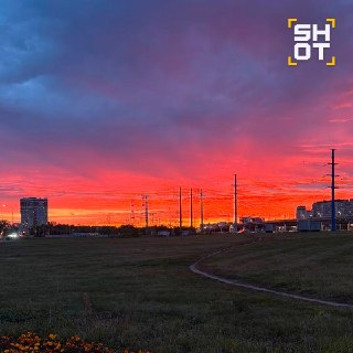 Иллюстрация 4