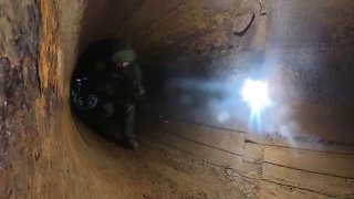 Иллюстрация 1