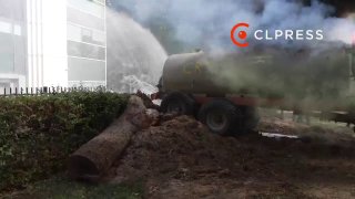 Иллюстрация 1