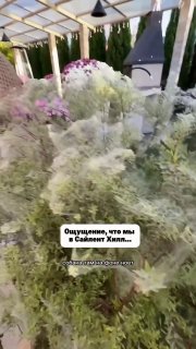 Иллюстрация 2