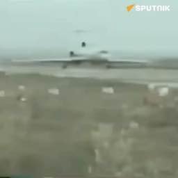 Иллюстрация 1