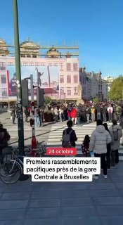 В европейских городах начинают собираться иностранные школьники и студенты