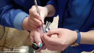 Медики скорой помощи Ленобласти спасли синицу, попавшую в окно подстанции.