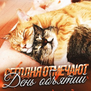 День объятий: не забудьте обнять своих близких!