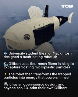 Иллюстрация 2